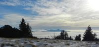 021 m vom arber_ rachel im nebelmeer